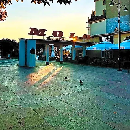 Art Of Hotel *